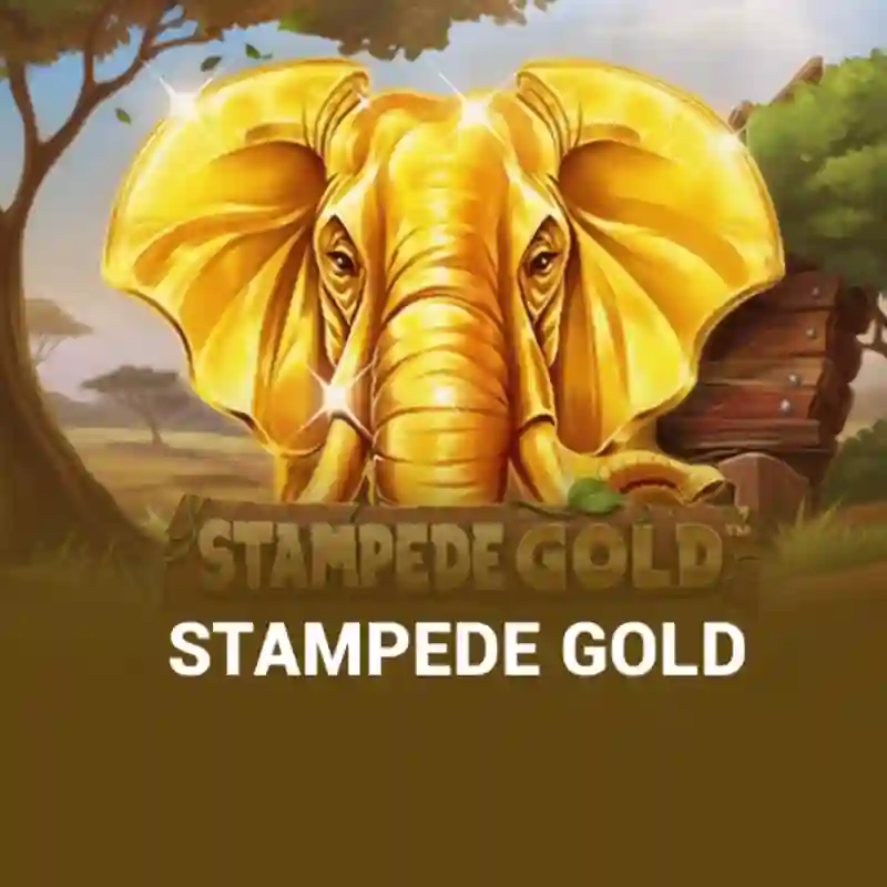 Stampede Gold